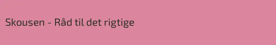 Skousen - Råd til det rigtige